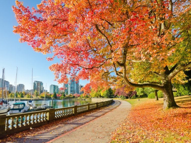 Du học hè Canada (Trại hè Braemar College)